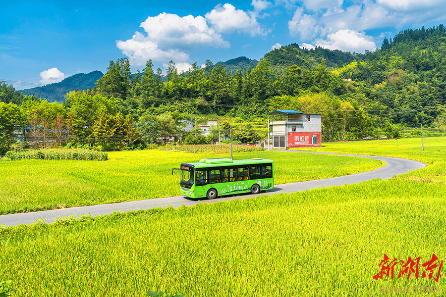 乡村公交画里行