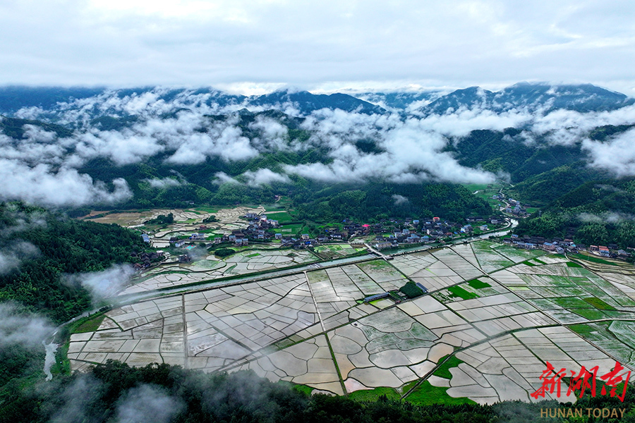 幸福家园