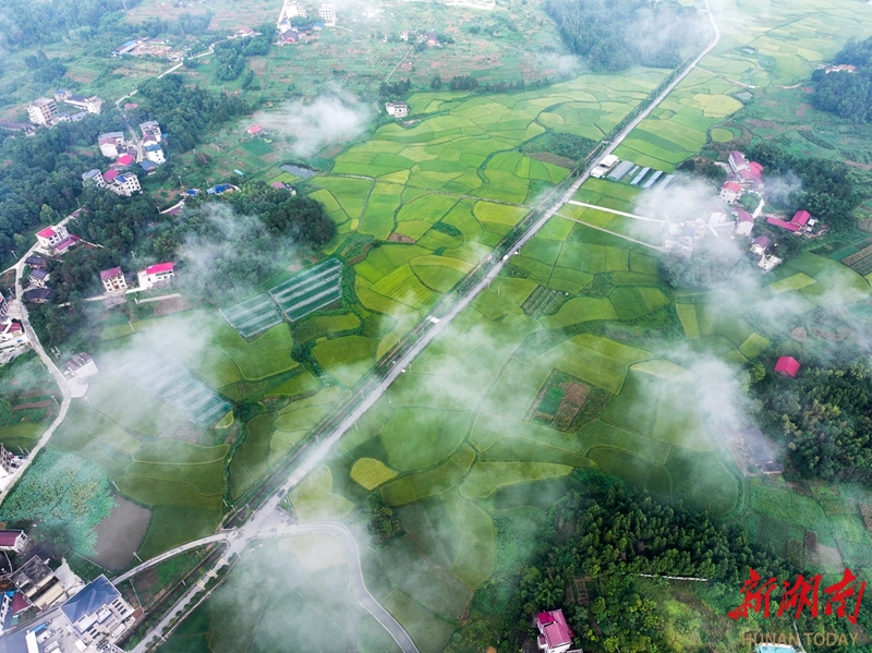 和美乡村景如画