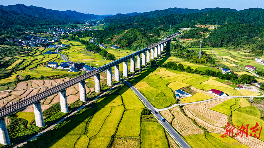 田园乡韵绘美景